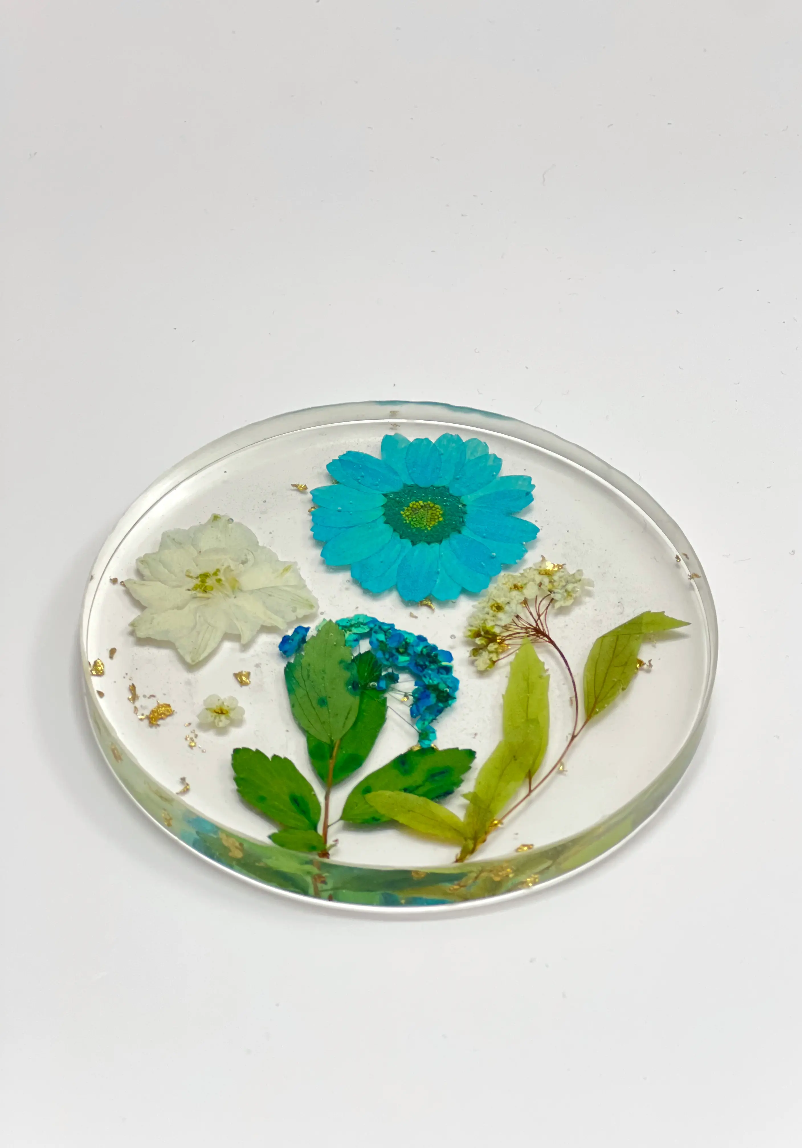 Blue Daisy Fern Round Coasters