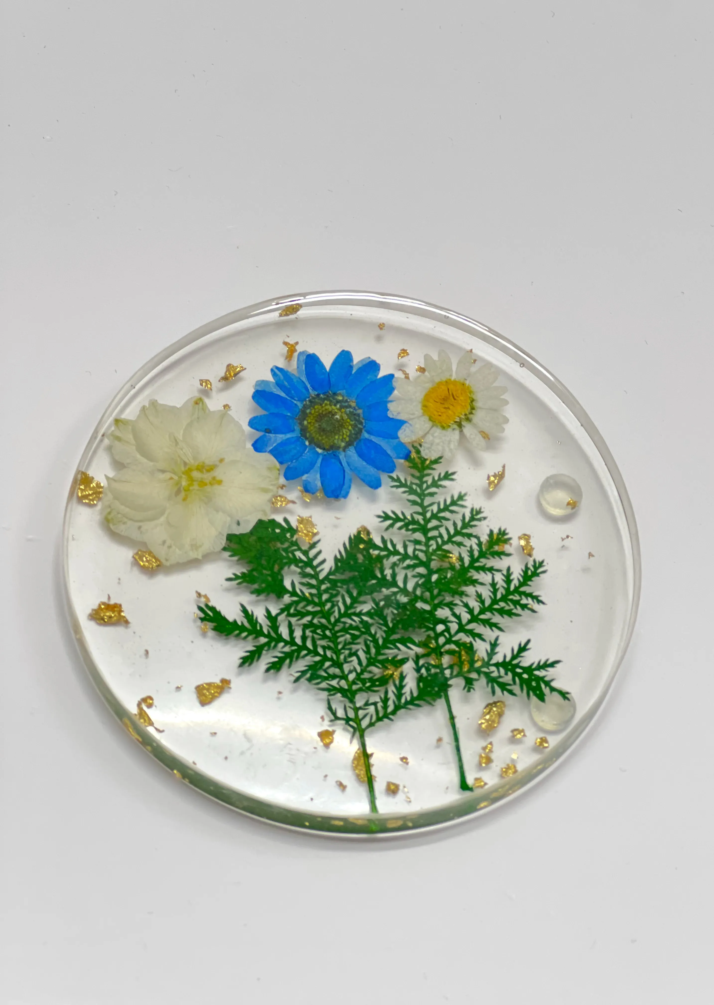 Blue Daisy Fern Round Coasters — photo 2 of 3