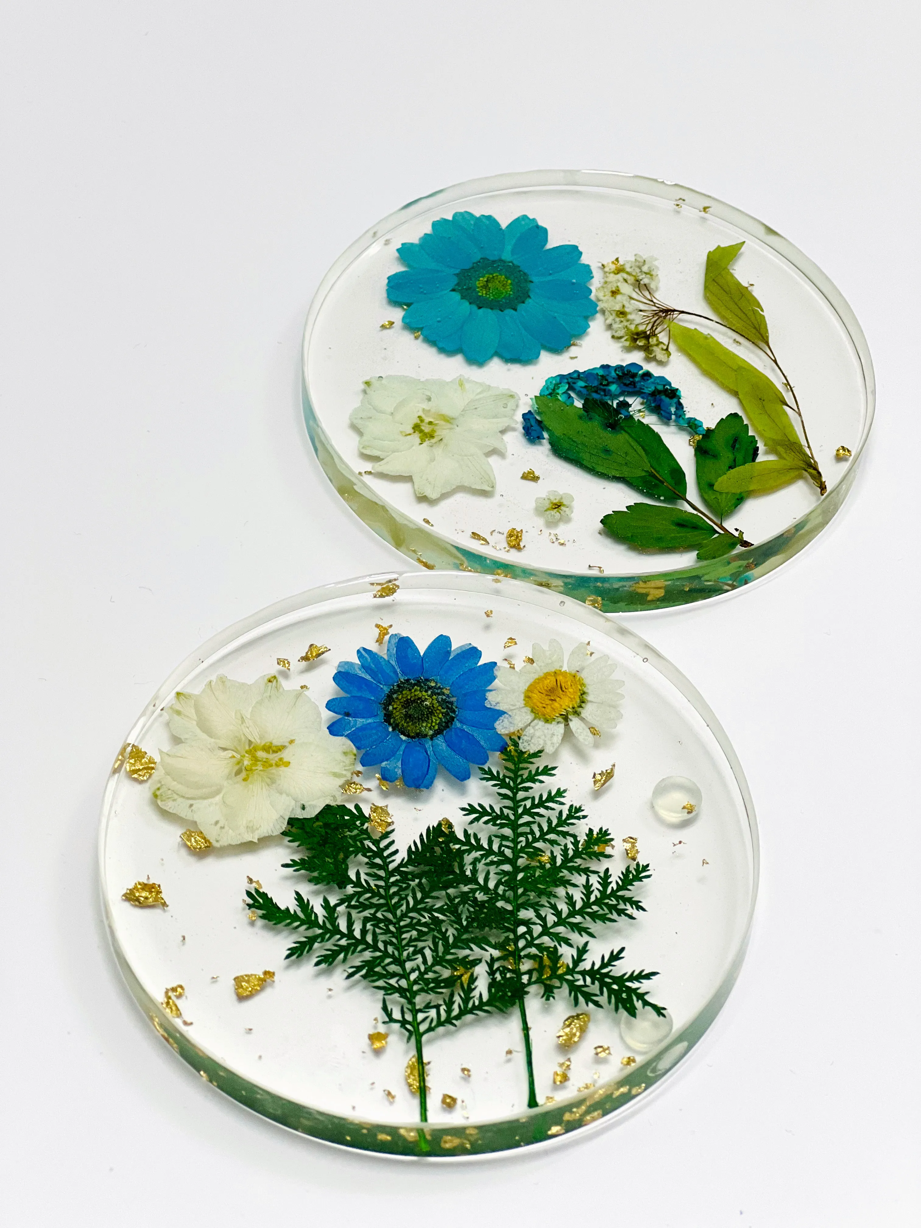 Blue Daisy Fern Round Coasters — photo 3 of 3